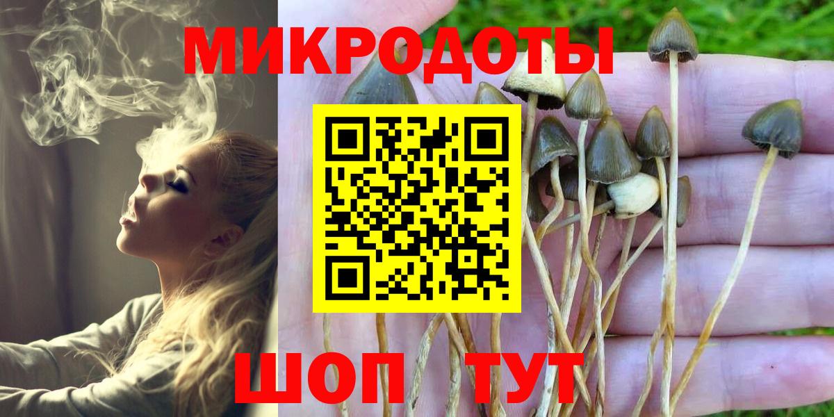 Псилоцибиновые грибы мицелий Элиста